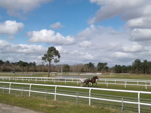 Hippisme : nos préférés pour ce dimanche 6 mars